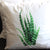 Set 2x Fundas de Cojín Aloe Blanco - 43x43 cm DA00AV Miolé